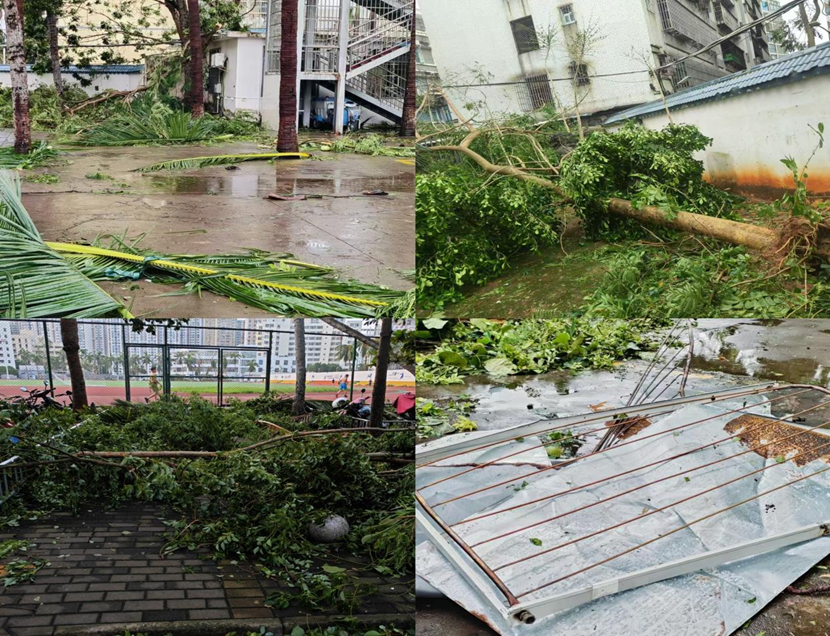 Cool18
教职工返校清理校园 做好灾后恢复工作