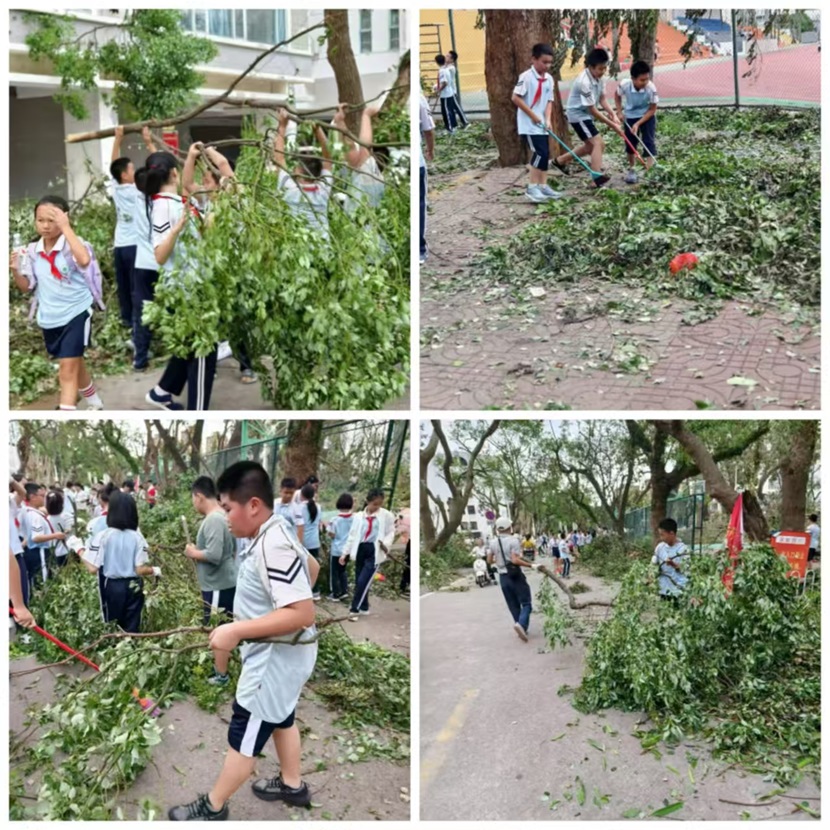 风雨过后，即是晴天：附小人全力恢复校园正常秩序