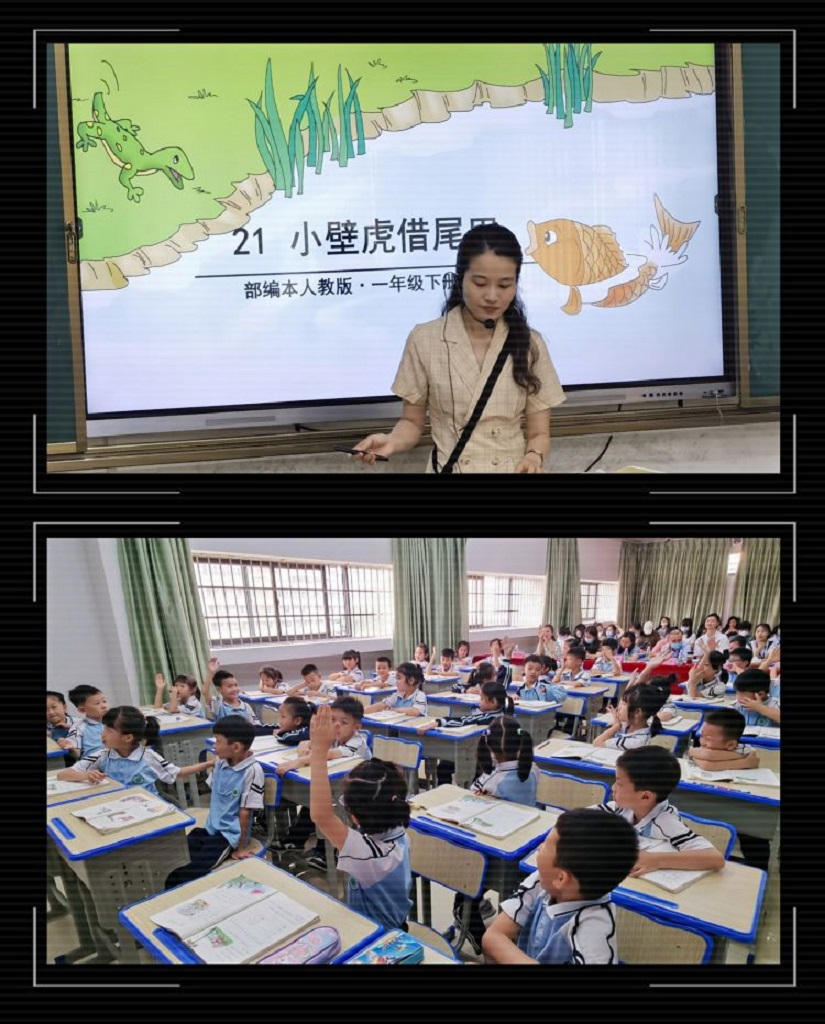 有爱教学,快乐学习――海南师范大学实验小学联合海南师范大学附属幼儿园科学教研活动