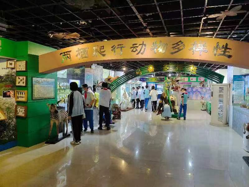 Cool18
组织学生参观海南生物多样性博物馆