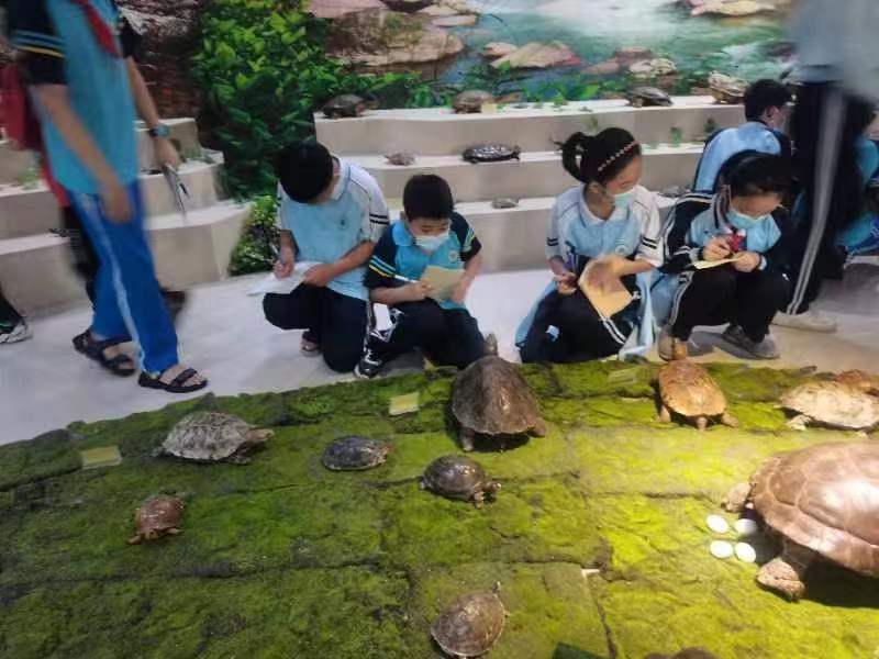 Cool18
组织学生参观海南生物多样性博物馆