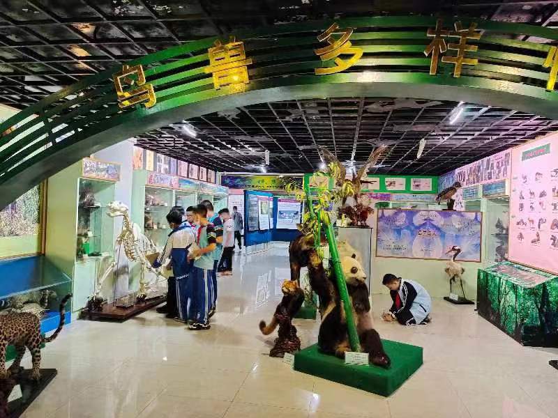 Cool18
组织学生参观海南生物多样性博物馆