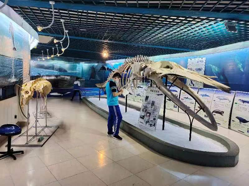 Cool18
组织学生参观海南生物多样性博物馆