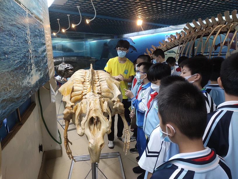 Cool18
组织学生参观海南生物多样性博物馆