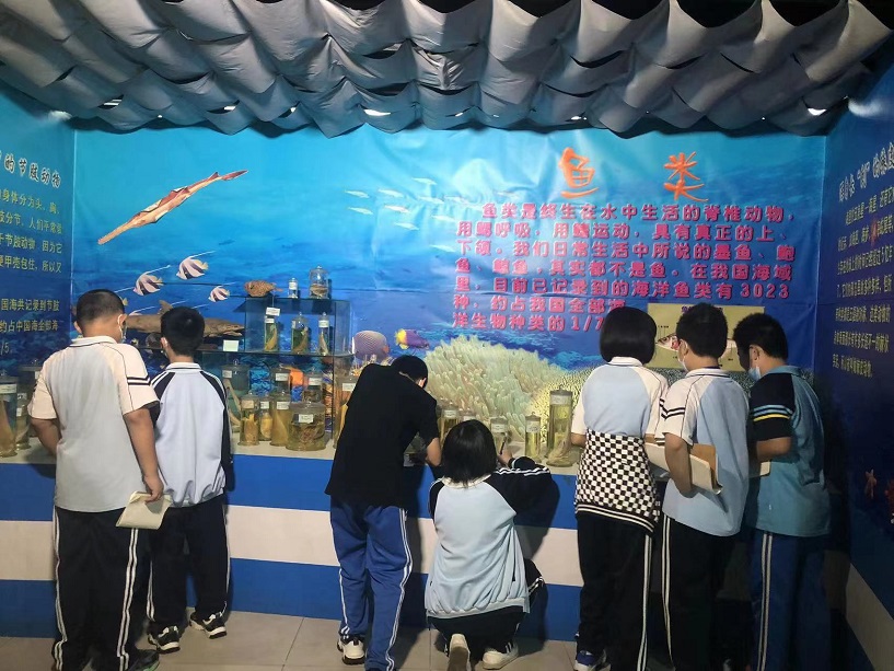 Cool18
组织学生参观海南生物多样性博物馆