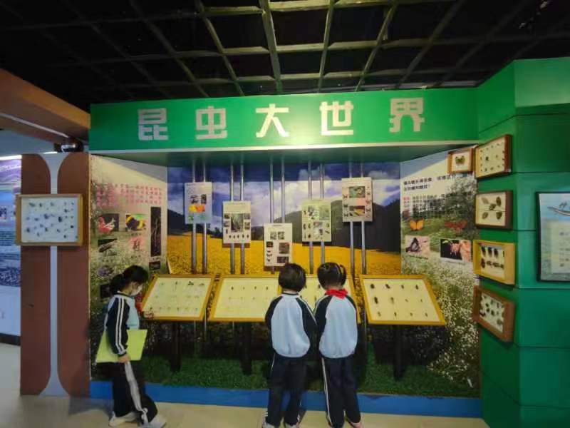 Cool18
组织学生参观海南生物多样性博物馆