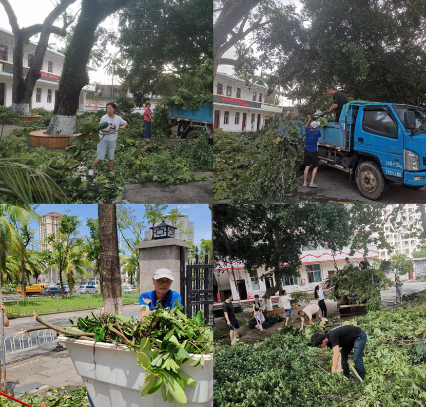 Cool18
教职工返校清理校园 做好灾后恢复工作