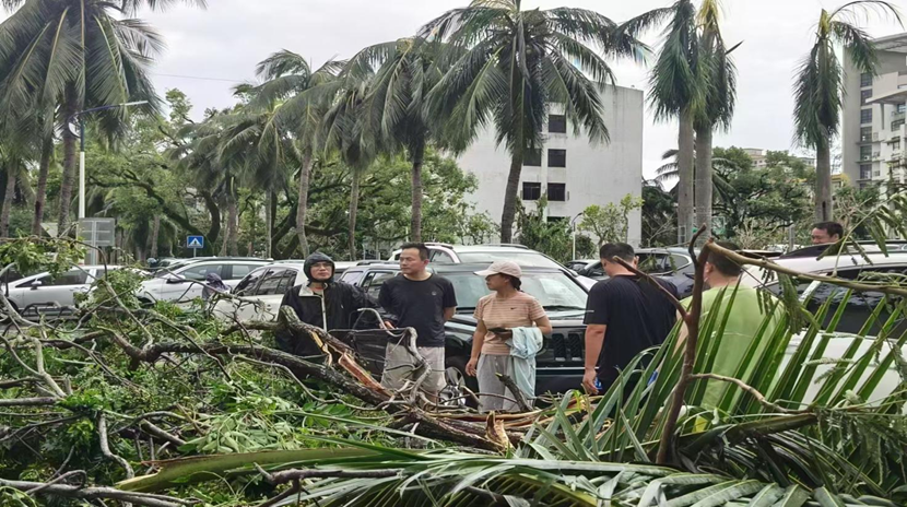 Cool18
教职工返校清理校园 做好灾后恢复工作