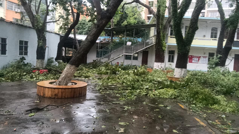 Cool18
教职工返校清理校园 做好灾后恢复工作