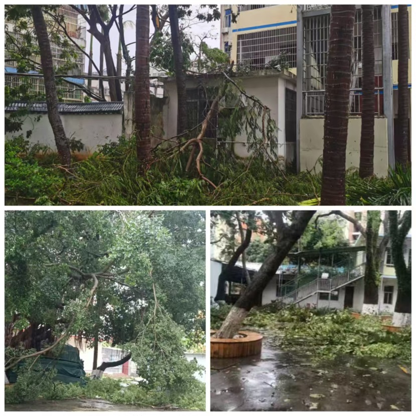 风雨过后,即是晴天:附小人全力恢复校园正常秩序