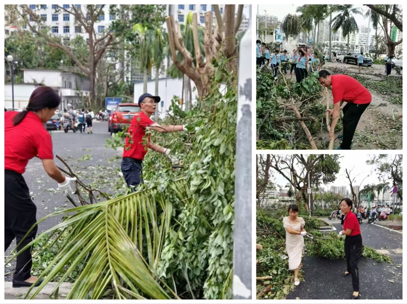 风雨过后,即是晴天:附小人全力恢复校园正常秩序